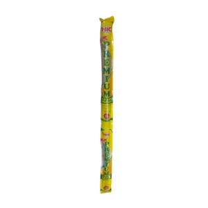 Broom with Durable Plastic Handle